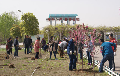徐州國禎開展植樹活動(dòng)