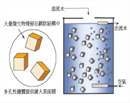 BioNest 生物巢技術(shù)