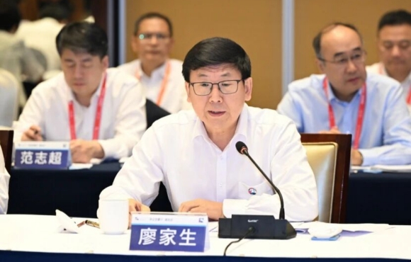 廖家生出席2025世界制造業(yè)大會和“央企安徽行”活動并調(diào)